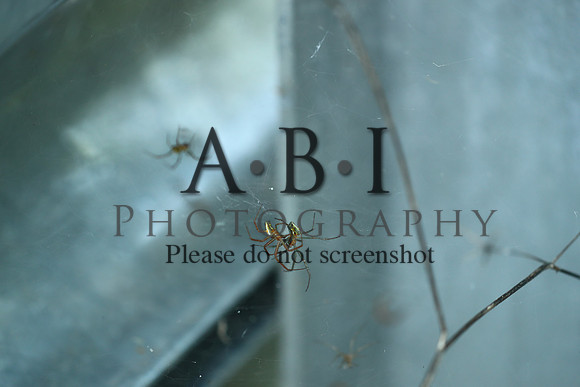 20190630-BQ5I3860
