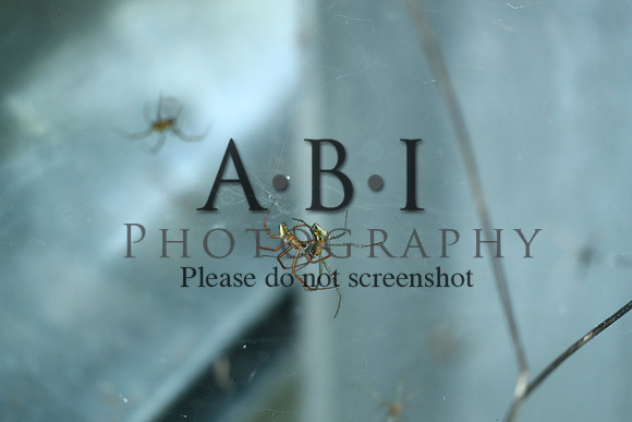 20190630-BQ5I3861-2