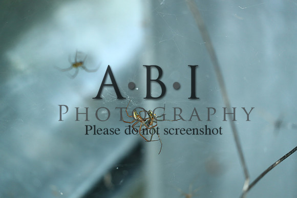 20190630-BQ5I3862-2