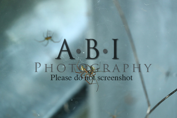 20190630-BQ5I3863