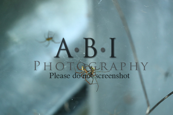 20190630-BQ5I3864