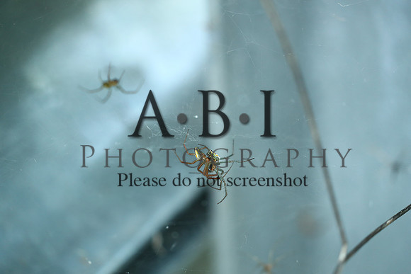 20190630-BQ5I3865-2