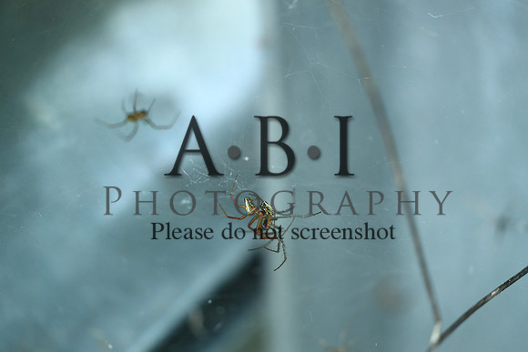 20190630-BQ5I3866-2