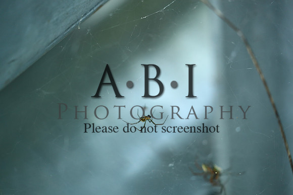 20190630-BQ5I3867-2