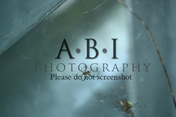 20190630-BQ5I3868