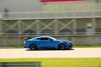 20190711-BQ5I3028