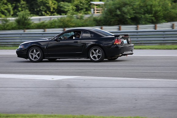Black Mustang Cobra-4