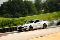 20190720-BQ5I1169