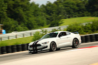 20190720-BQ5I1171
