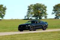 20190914-BQ5I3565