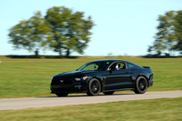 20190914-BQ5I3566