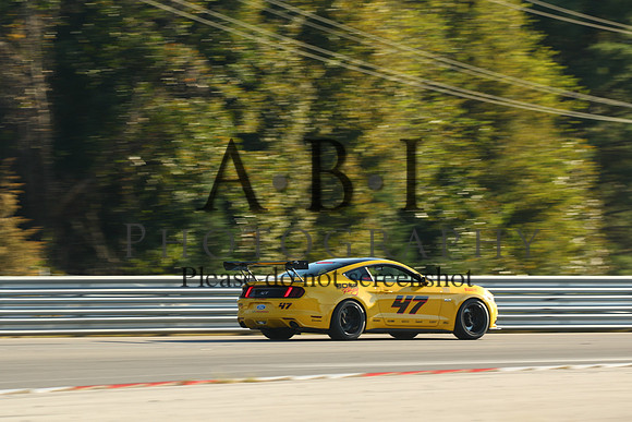 20191005-256A9419