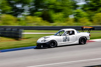 NG8A0355-2 copy