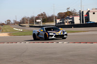 NG8A4464