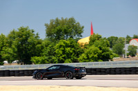 NG8A0110-7