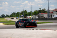 NG8A3456