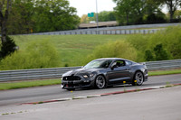 NG8A0191