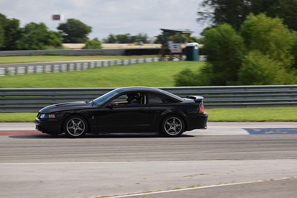 Black Mustang Cobra-7