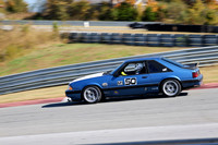NG8A5336