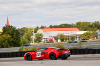 NG8A4852