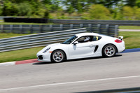 NG8A1161