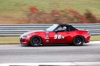 NG8A9119