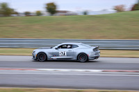 NG8A9244