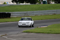 white ford #63-5