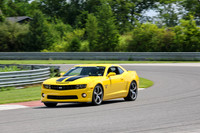 NG8A7642