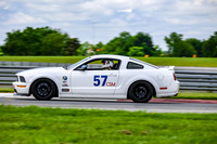 mustang-white-57