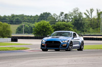 car-shelby-blue