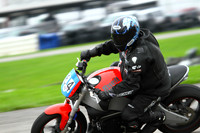 Novice
